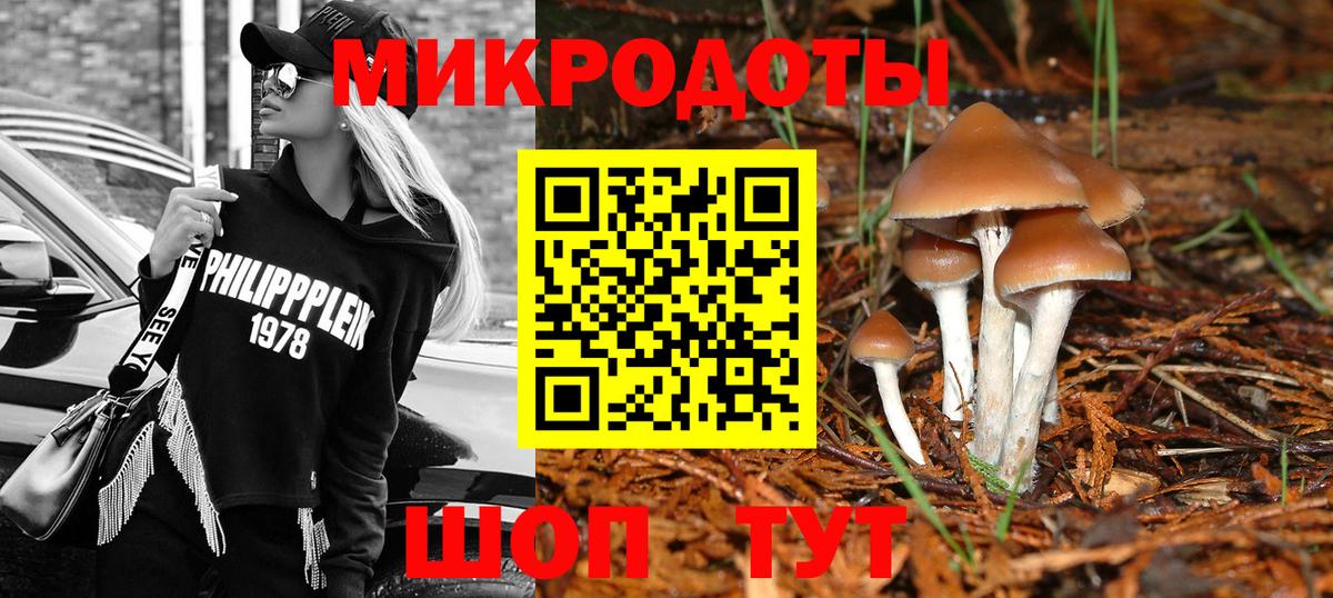 Галлюциногенные грибы прущие грибы Нижний Новгород