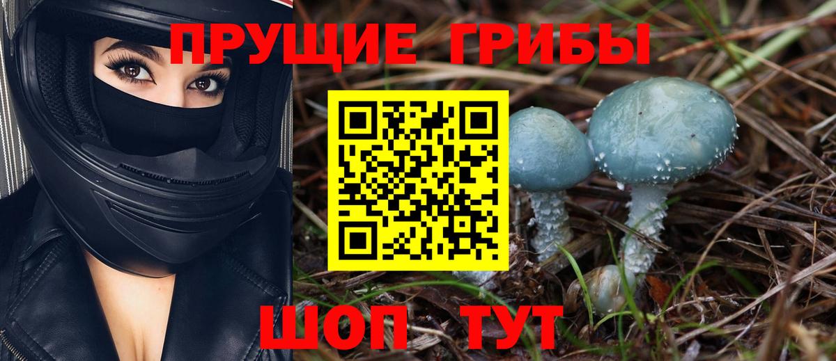 Псилоцибиновые грибы Psilocybe  Псилоцибиновые грибы Psilocybine cubensis  Нижний Новгород  Вход с VPN 